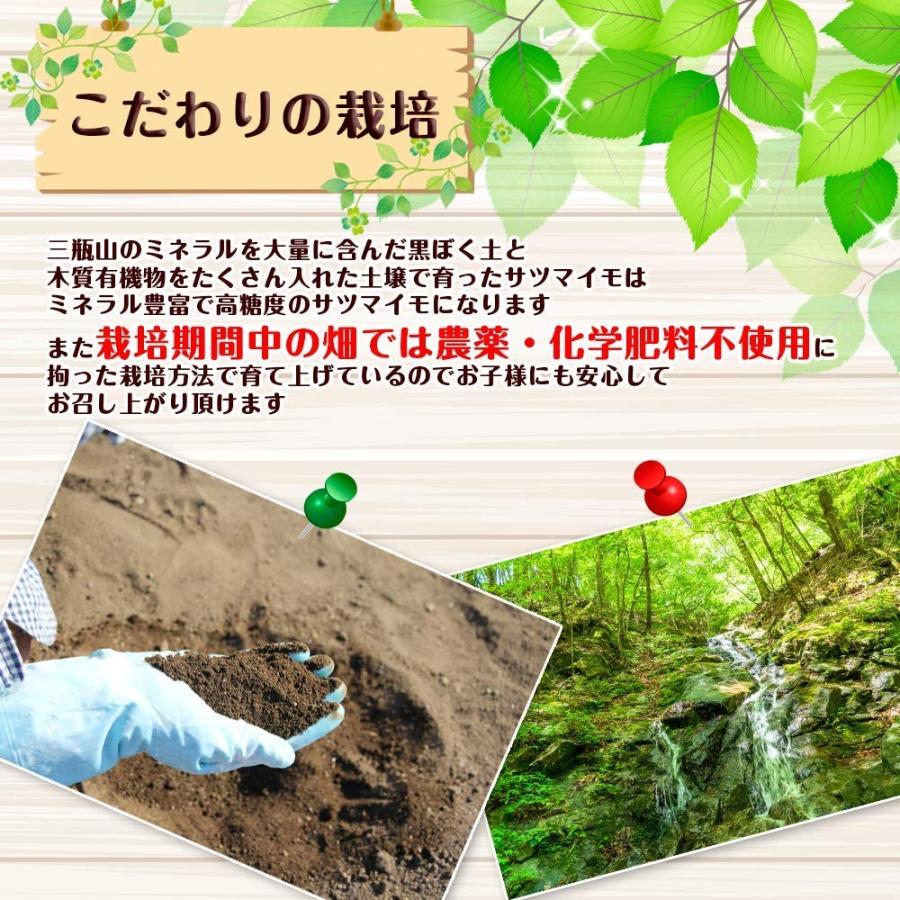 森の絹 なつかしの森 冷凍焼きいも ちょっと贅沢な 極甘 シルクスイート 栽培期間中の畑では農薬 化学肥料不使用 添加物不使用 2個セット B07xc5ytq2 osun Store 通販 Yahoo ショッピング