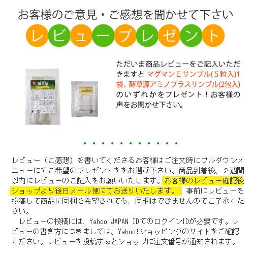 植物ミネラル マグマンE100g 中山栄基先生開発の画像