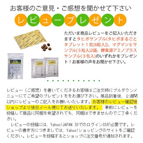 タヒボ茶 タヒボNFD ニューティーバッグ タヒボジャパン : タヒボ