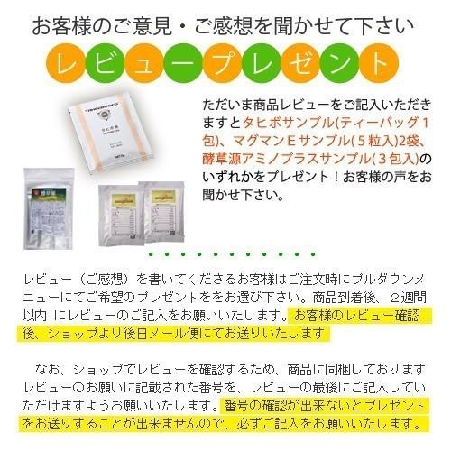 タヒボ茶 タヒボNFD ティーバッグ ティーポットセット タヒボジャパン