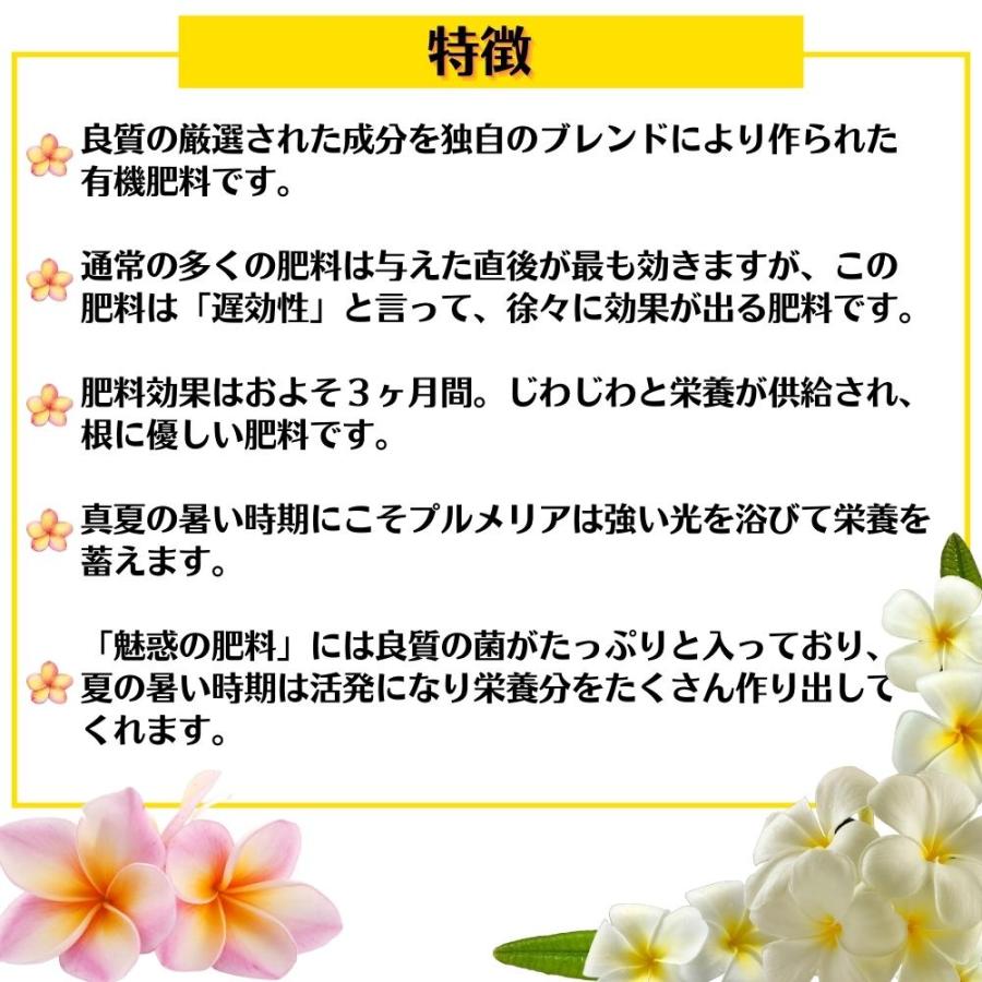 花付き抜群！！ プルメリア＆熱帯植物の肥料 魅惑の肥料ハッピープルメリア 10個パック 熱帯植物専用肥料 HAPPYPLUMERIA｜tahiti-marche｜04