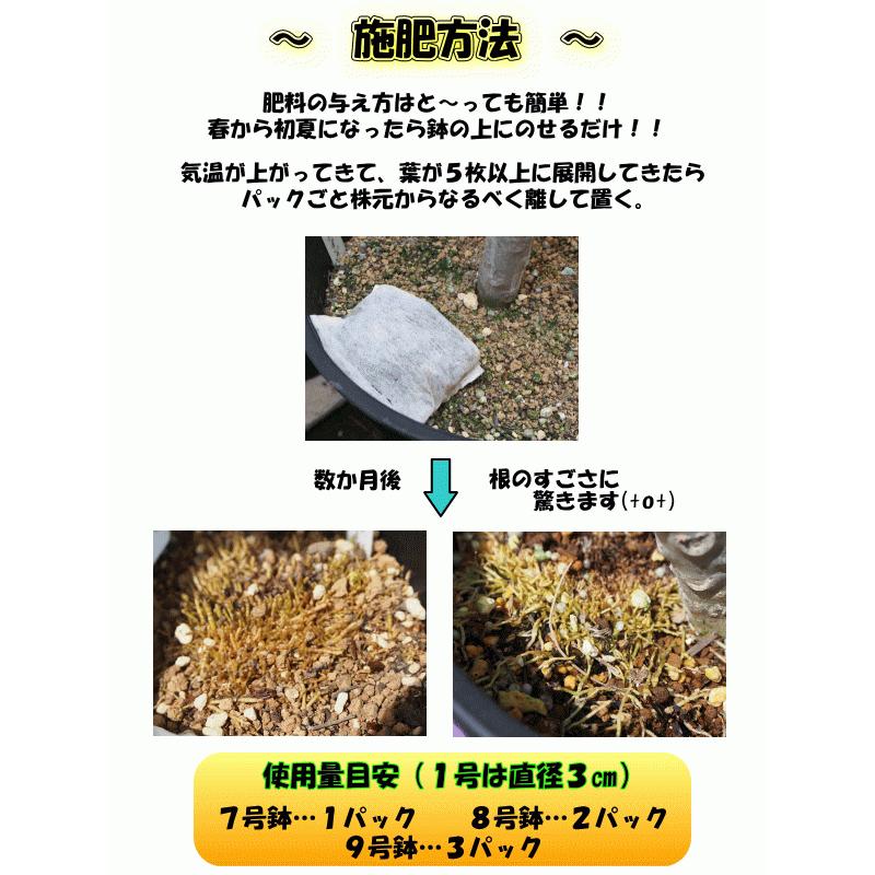 花つき抜群 プルメリア肥料 魅惑の肥料ハッピープルメリア 35グラム 植物との同梱可能 メール便発送 Happy Plumeria Tahiti Marche タヒチマルシェ 通販 Yahoo ショッピング