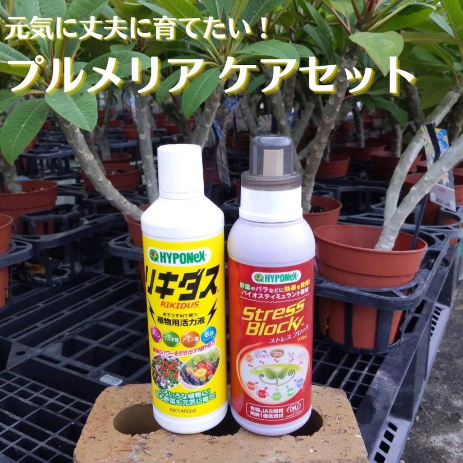 当店でも使用しているプルメリアケアセット 《ハイポネックス ストレス