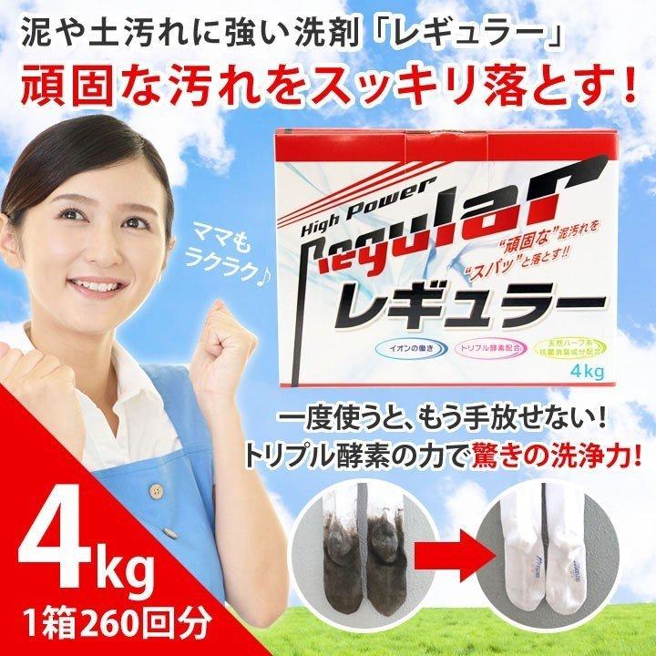 【アルク有限会社】 泥汚れ専用洗剤 レギュラー 4kg ガンコ 汚れ|tai-spo|02