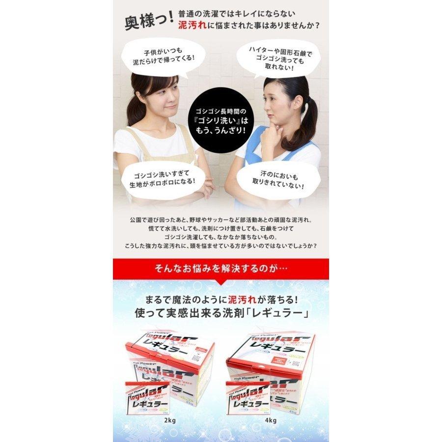 【アルク有限会社】 泥汚れ専用洗剤 レギュラー 4kg ガンコ 汚れ|tai-spo|04
