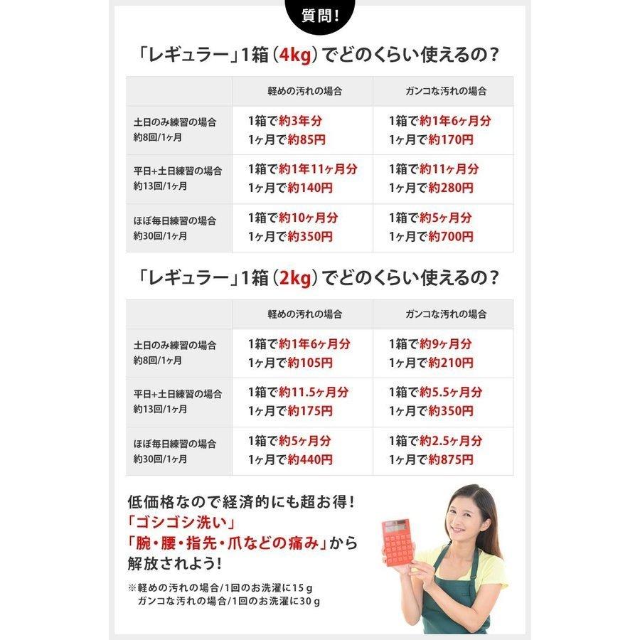 【アルク有限会社】 泥汚れ専用洗剤 レギュラー 4kg ガンコ 汚れ|tai-spo|10