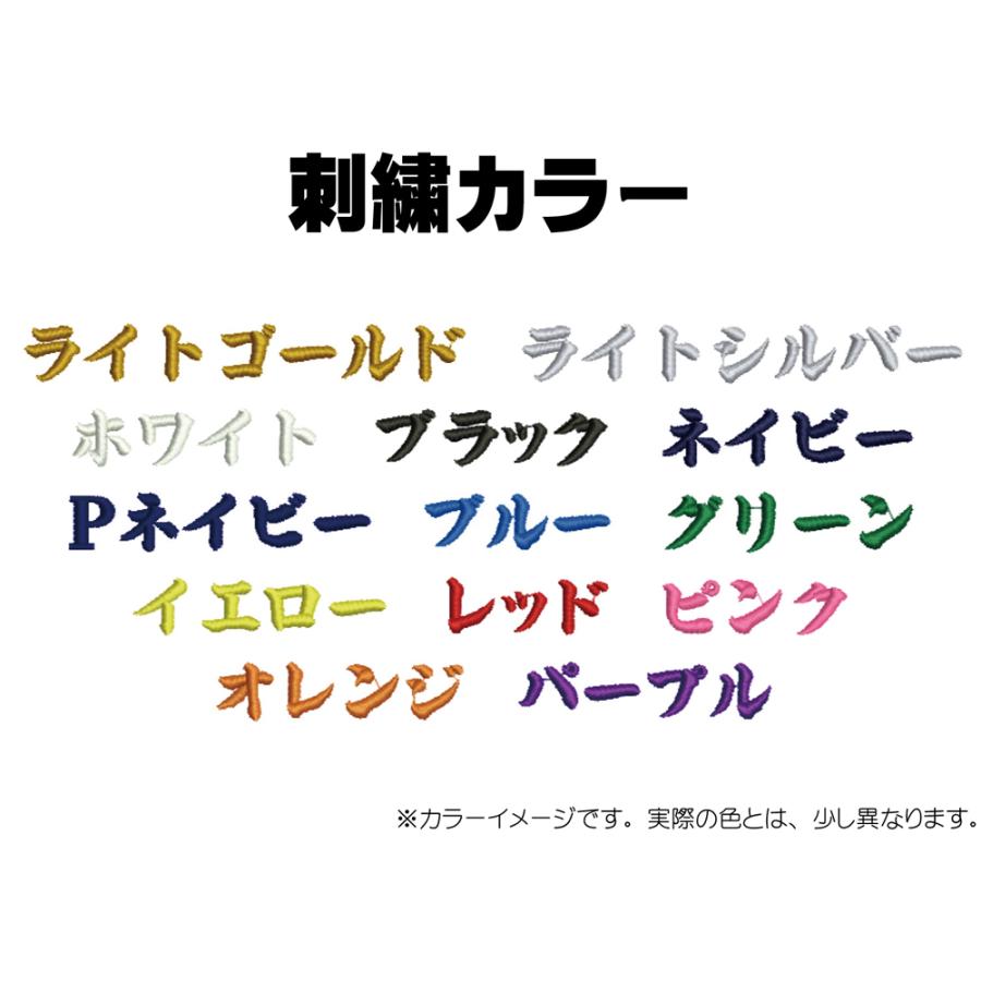 卒団刺繍入ゼット プロステイタス ボールケース bap217-sotsudansisyuの画像