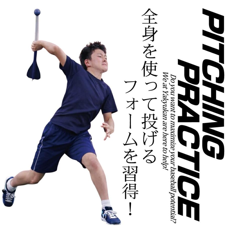 アイピーセレクト トレーニング用品 フレーチャ FLECHA 野球 ip9010