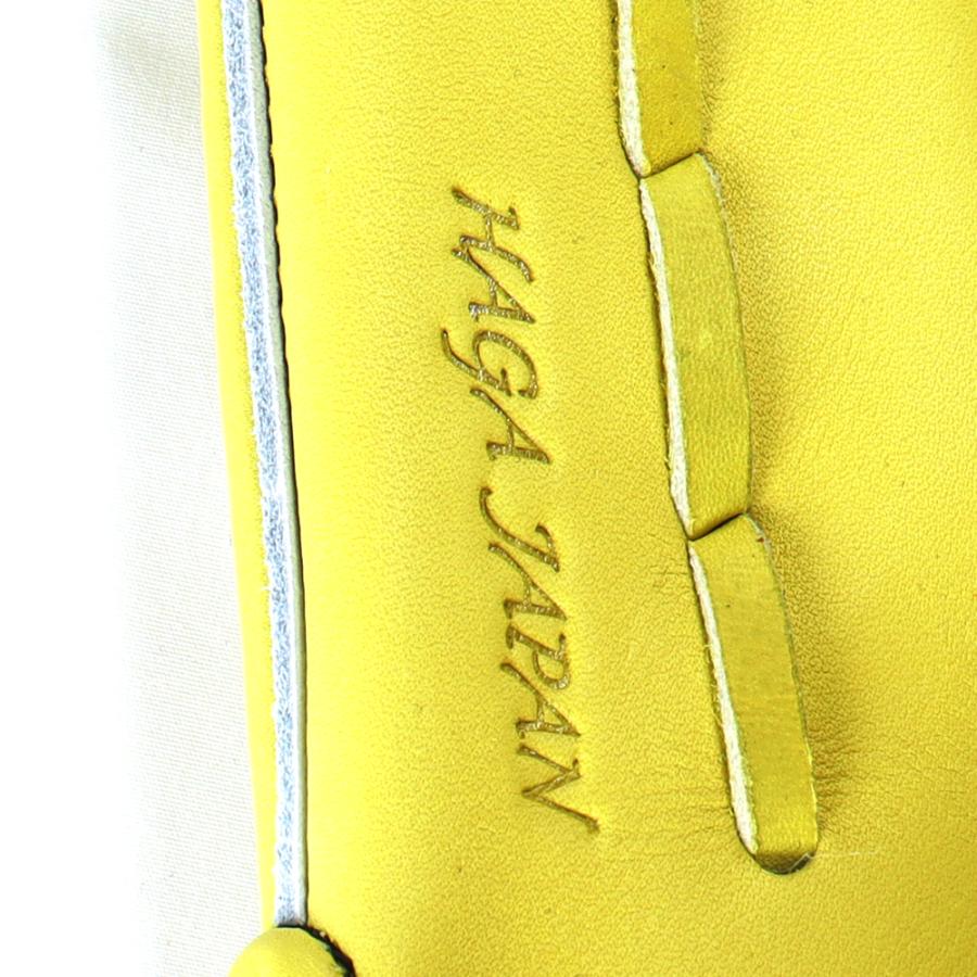 ミズノプロ　内野用グラブ tai-spo_mp-578