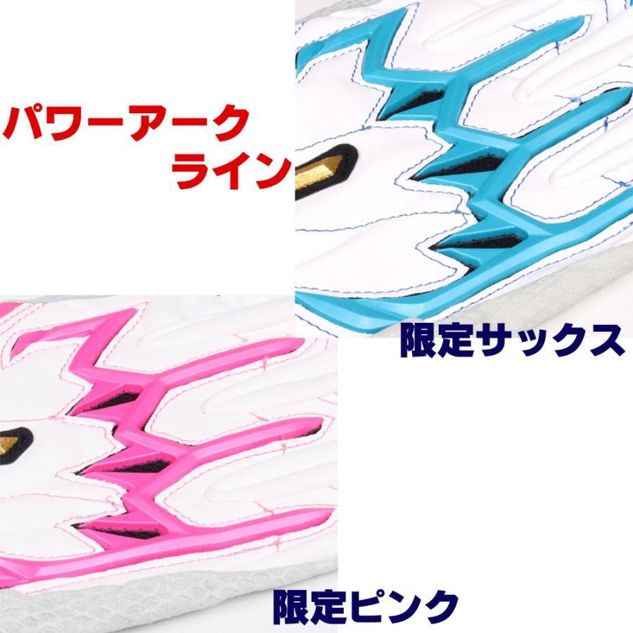 Mizuno Pro ミズノ ミズノプロ バッティング手袋 オーダー 両手