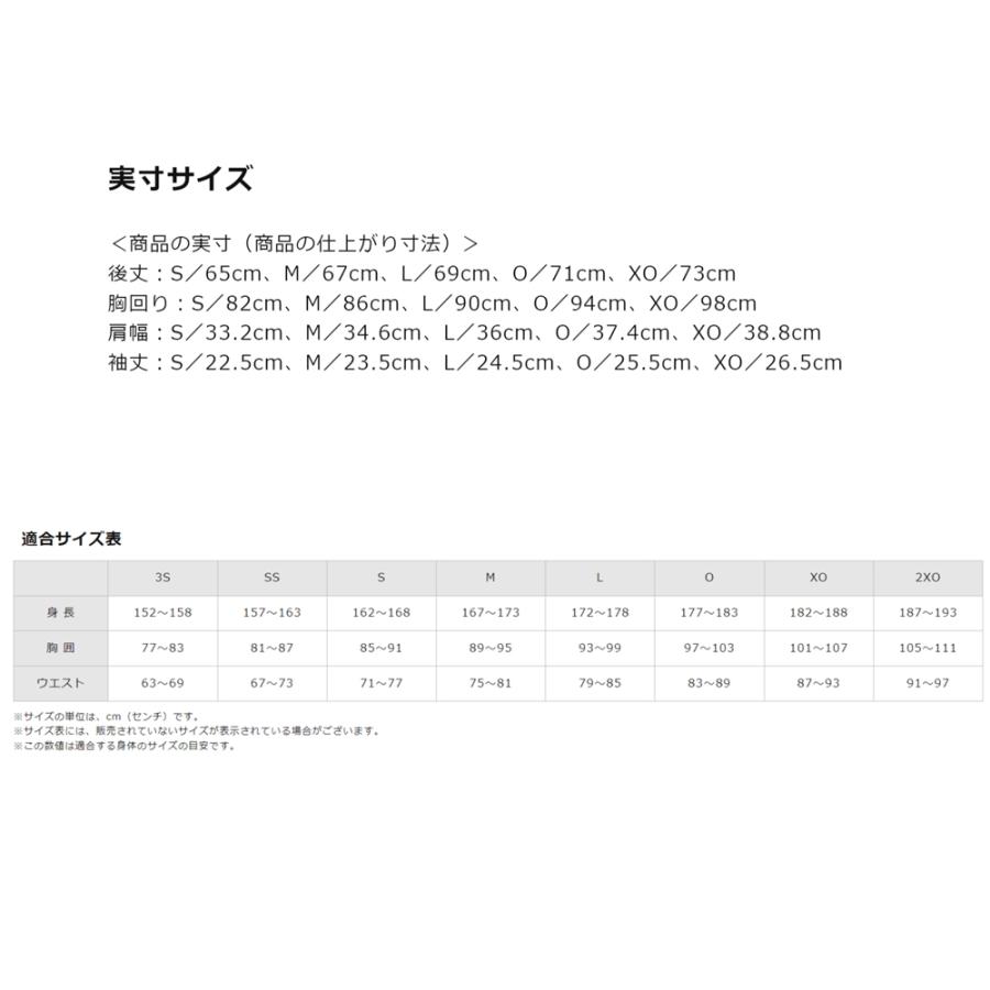 ミズノ 丸首 半袖 アンダーシャツ バイオギア ローネック 運動神経をサポートするスパオール加工付きアンダーシャツ so-12ja1c31｜tai-spo｜12