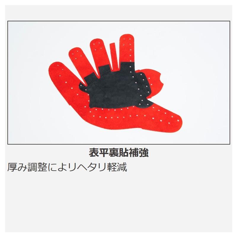 ワールドペガサス 硬式 グローブ カスタム品 大学リーグ対応 WGKGP811 野球 ワールドペガサス グランドペガサストップ 硬式軟式兼用