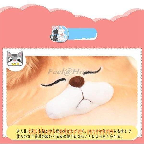 ぬいぐるみ猫ねこネコ抱き枕クッションふわふわ動物かわいい癒し50cmもちもち誕生日プレゼントギフト Hei 4555hpmbf タイヘイストア 通販 Yahoo ショッピング