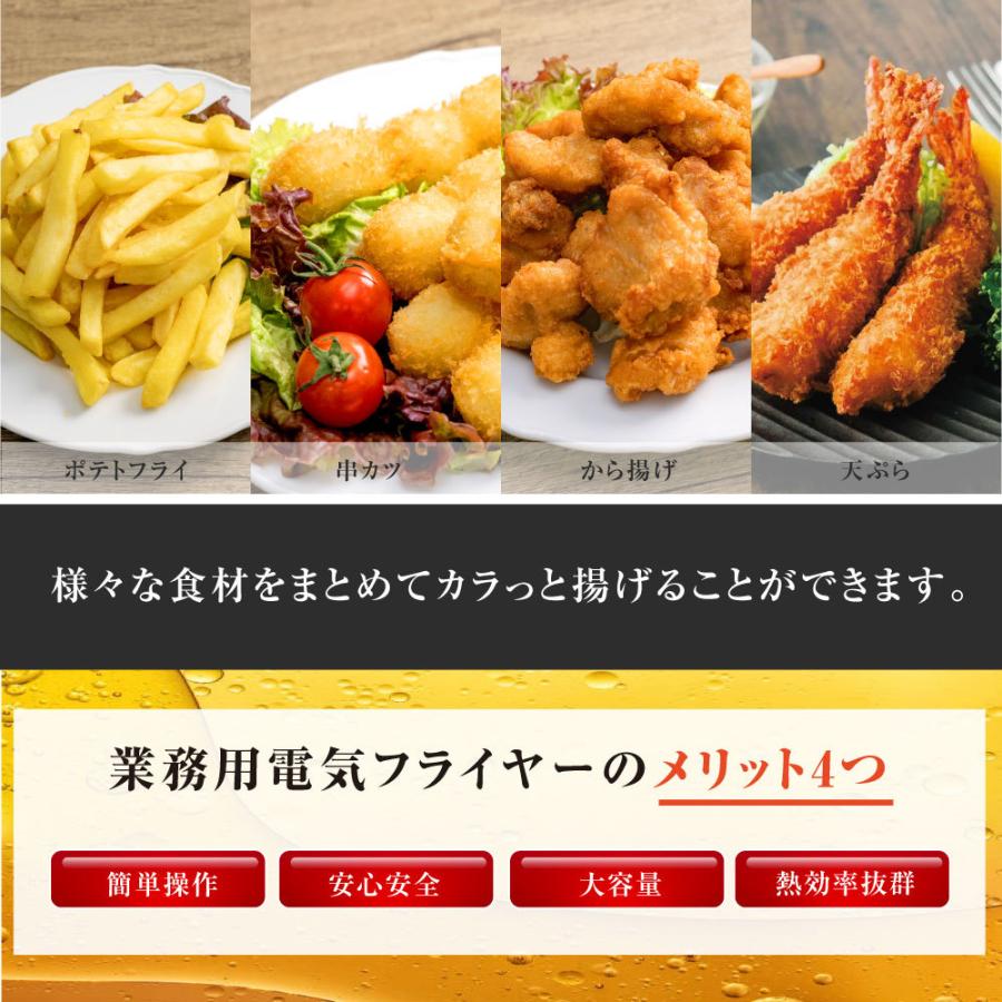 売れ筋がひ！ 電気フライヤー 業務用 二槽式 4L フライヤー 卓上 小型
