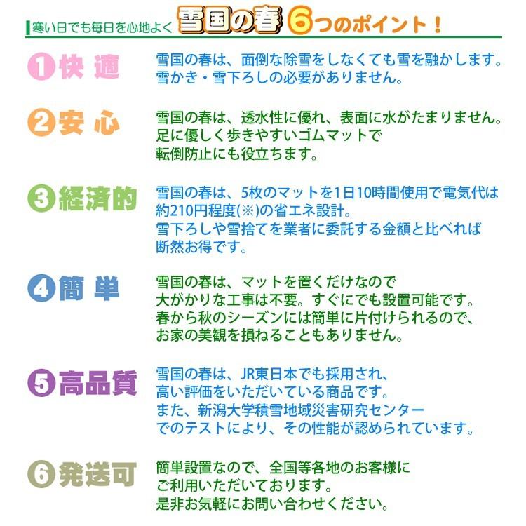融雪マット 歩道用Aタイプ 単品 1000×500×20mm [雪国の春 融雪マット 歩道用Aタイプ 単品 1000×500×20mm [雪国の春