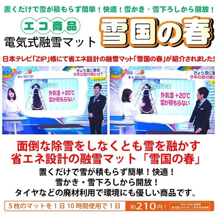 融雪マット 歩道用Aタイプ 2000×500×20ｍｍ 電源コードセット [雪国の春]の画像