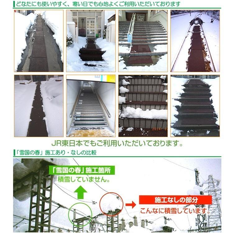 融雪マット 歩道用Aタイプ 2000×500×20ｍｍ 電源コードセット [雪国の春]の画像
