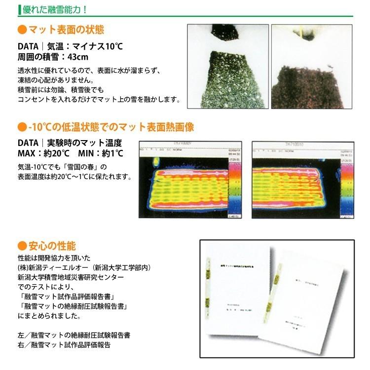 融雪マット 歩道用Aタイプ 2000×500×20ｍｍ 電源コードセット [雪国の春]の画像