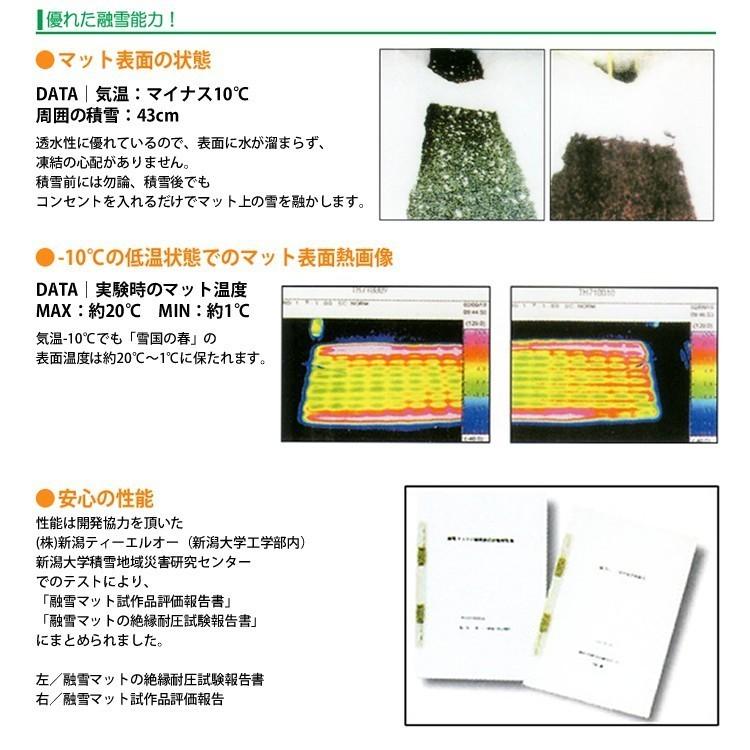 融雪マット 歩道用Aタイプ 3000×500×20ｍｍ 電源コードセット [雪国の春]の画像