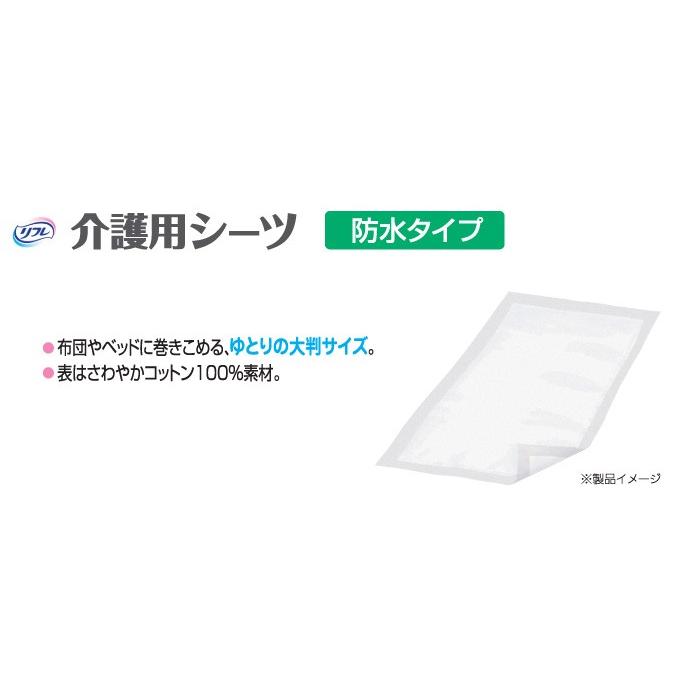 ブランド品 ストリックスデザイン 防水シート 使い捨て吸水エチケットシート 20枚 45×33cm 300ml ミニ ホワイト 抗菌ポリマー 菌の繁殖とニオ ストリックスデザイン 防水シート 使い捨て吸水エチケットシート 20枚 45×33cm 300ml ミニ ホワイト 抗菌ポリマー 菌の繁殖と