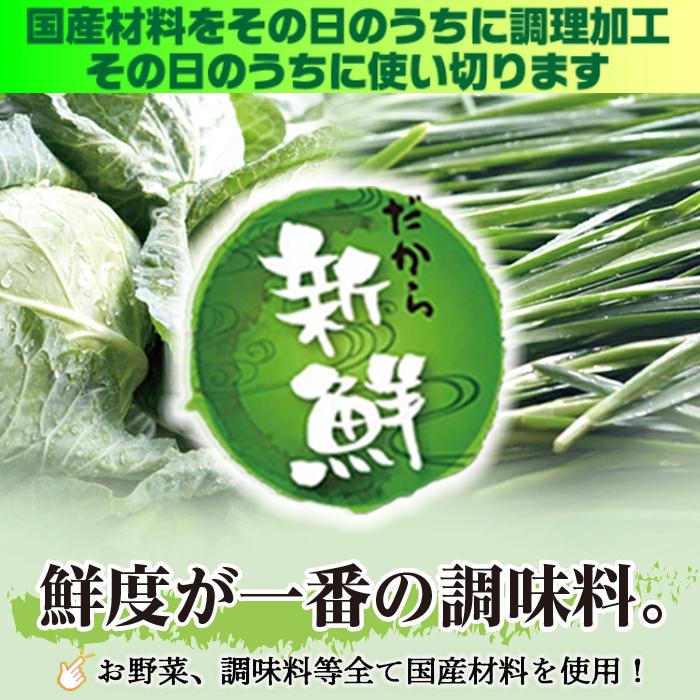 餃子 ぎょうざ もちもち国産ジャンボ大宝餃子 30個×2 大きい 冷凍餃子 焼き餃子 国産 中華惣菜 点心 お取り寄せ グルメ ギョウザ ギョーザ 冷凍食品 ギフト | 横浜大宝餃子 | 07