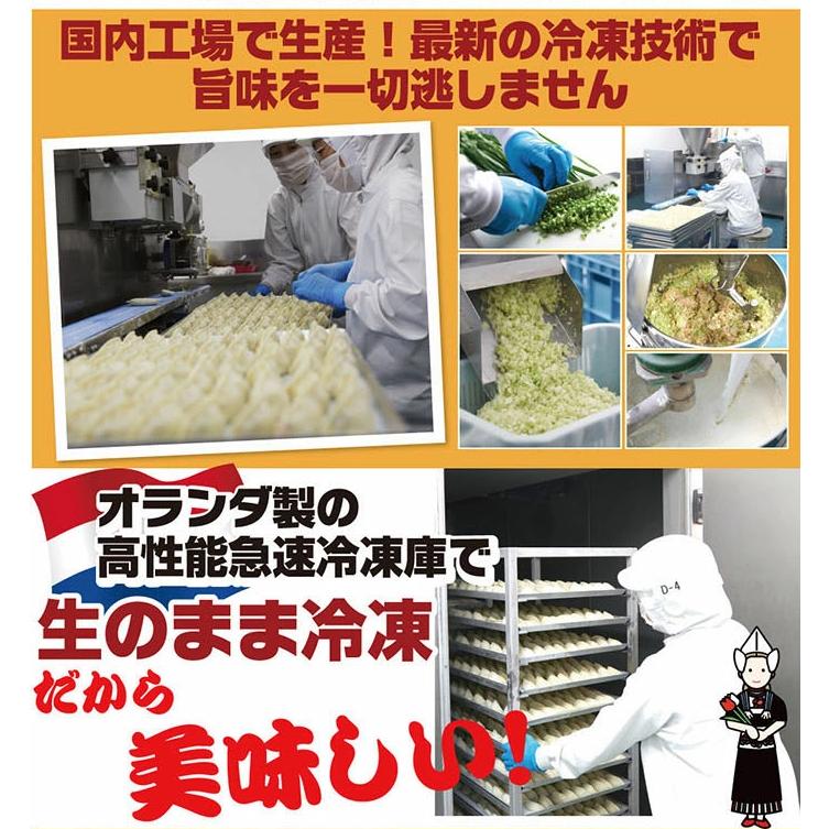 餃子 ぎょうざ もちもち国産ジャンボ大宝餃子 30個×2 大きい 冷凍餃子 焼き餃子 国産 中華惣菜 点心 お取り寄せ グルメ ギョウザ ギョーザ 冷凍食品 ギフト | 横浜大宝餃子 | 09