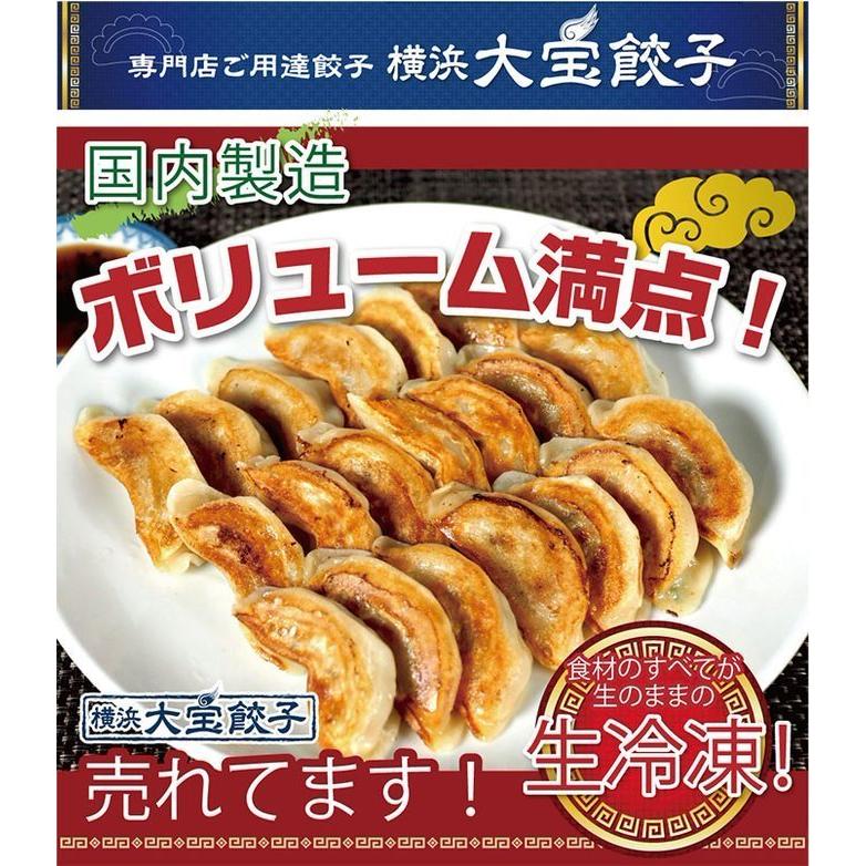 もちもち国産ジャンボ大宝餃子 30個×4 餃子 ぎょうざ 大きい 冷凍餃子