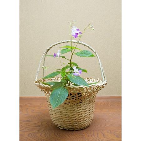 茶道具　唐物籠花入 時代 唐物籠 花入にも | 古美術ささき