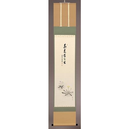 茶道具】書 掛軸 縦物 画賛、春草 「春来草自生」、足立泰道 和尚 賛