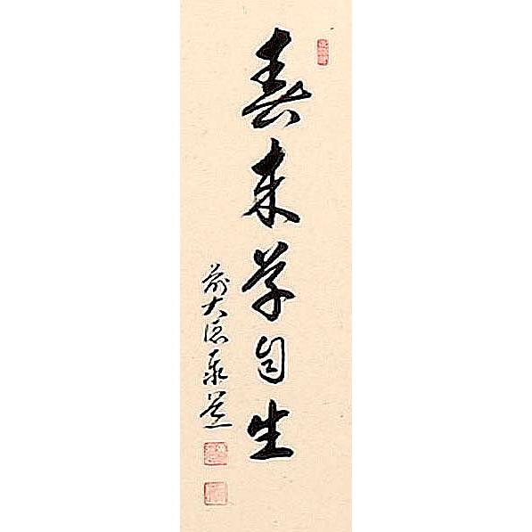 茶道具】書 掛軸 縦物 画賛、春草 「春来草自生」、足立泰道 和尚 賛