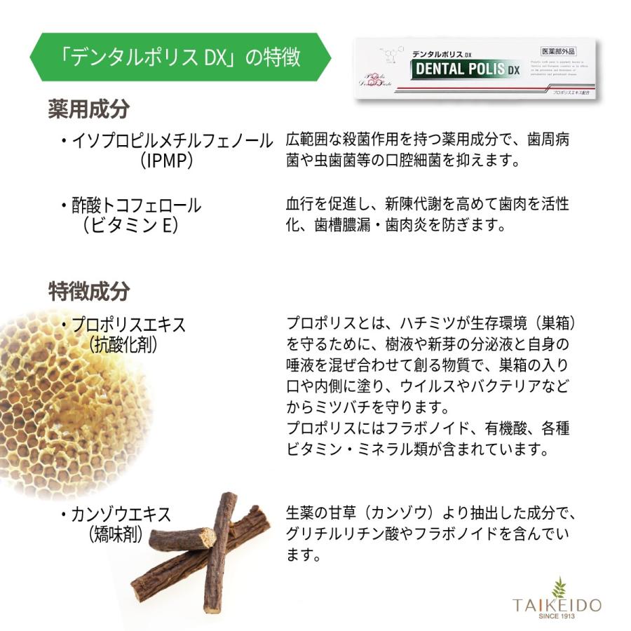 【医薬部外品】デンタルポリスDX 80g プロポリスエキス配合 歯周病予防 薬用歯磨き粉 全国どこでも送料無料｜taikeido-ys｜03