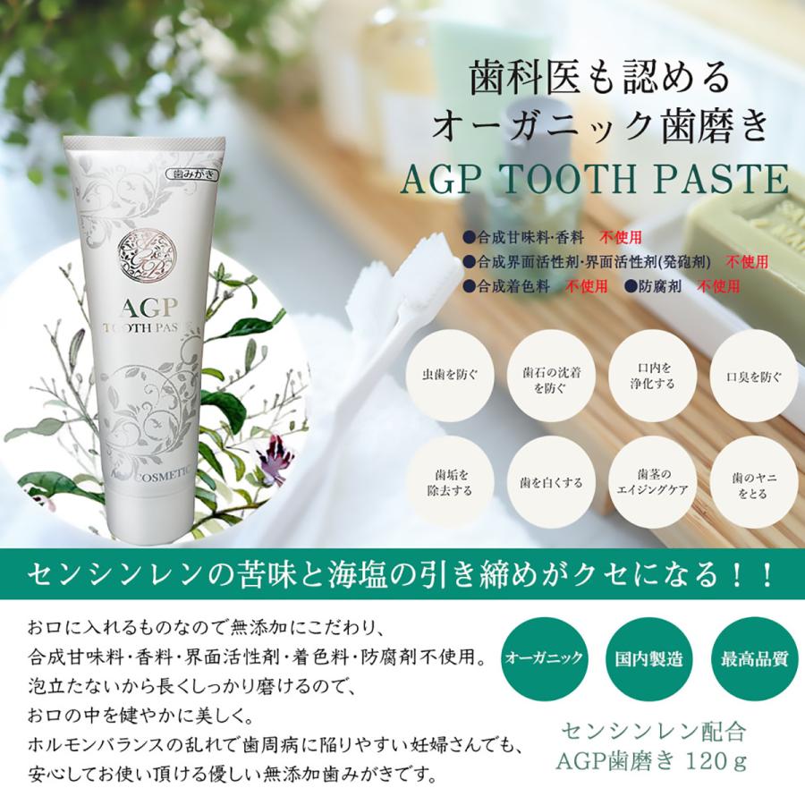 AGP歯みがき粉120ｇ センシンレン｜taikeido-ys｜02