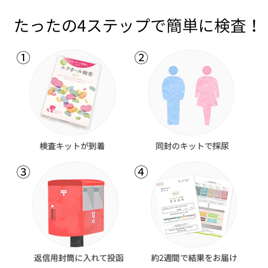 クリックポストでお届けします】 エクオール検査キット ソイチェック 2
