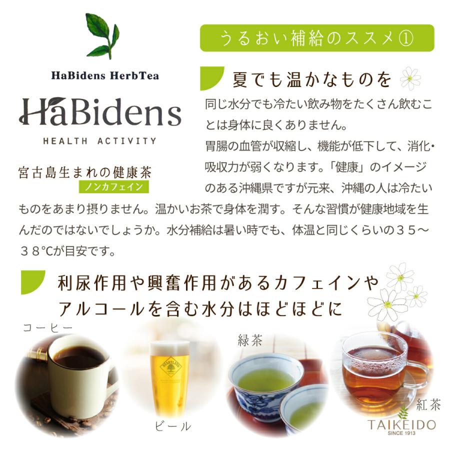 2個セット！ハービデンスバイセンティー【宮古ビデンスピローサ茶】 24