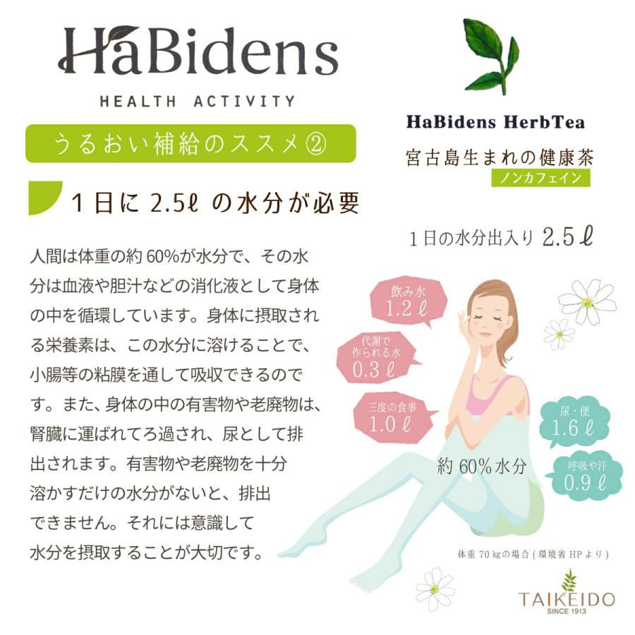 2個セット！ハービデンスバイセンティー【宮古ビデンスピローサ茶】 24