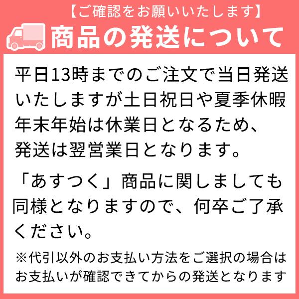 スピカココ ハンドソープ詰替え 280ml｜taikeido-ys｜05