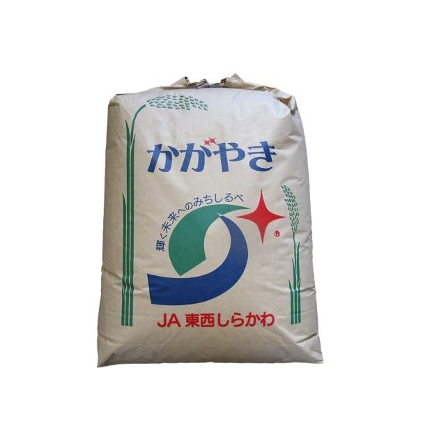 鳩の餌 中粒トウモロコシ ２５ｋｇ 鳩のご飯 ハトフード ハトエサ 鳩フード 野鳥 野鳥のえさ 野鳥の餌 野鳥のまき餌 撒き餌 大容量 Ｂ 大起商事（株）｜taikifood｜03