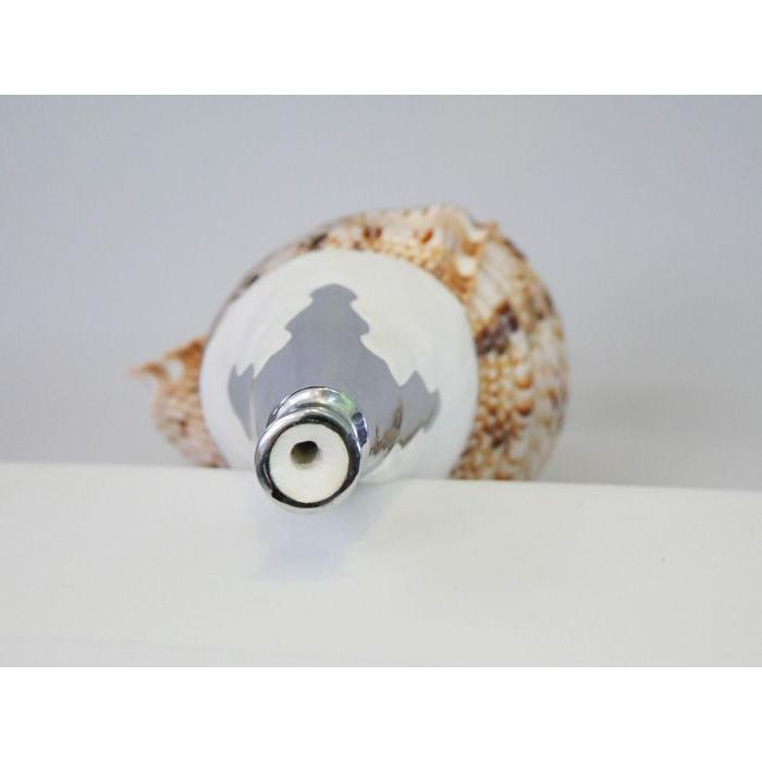 法螺貝・歌口付 サイズ35cm-37cm 真言タイプ : 和楽器総合販売