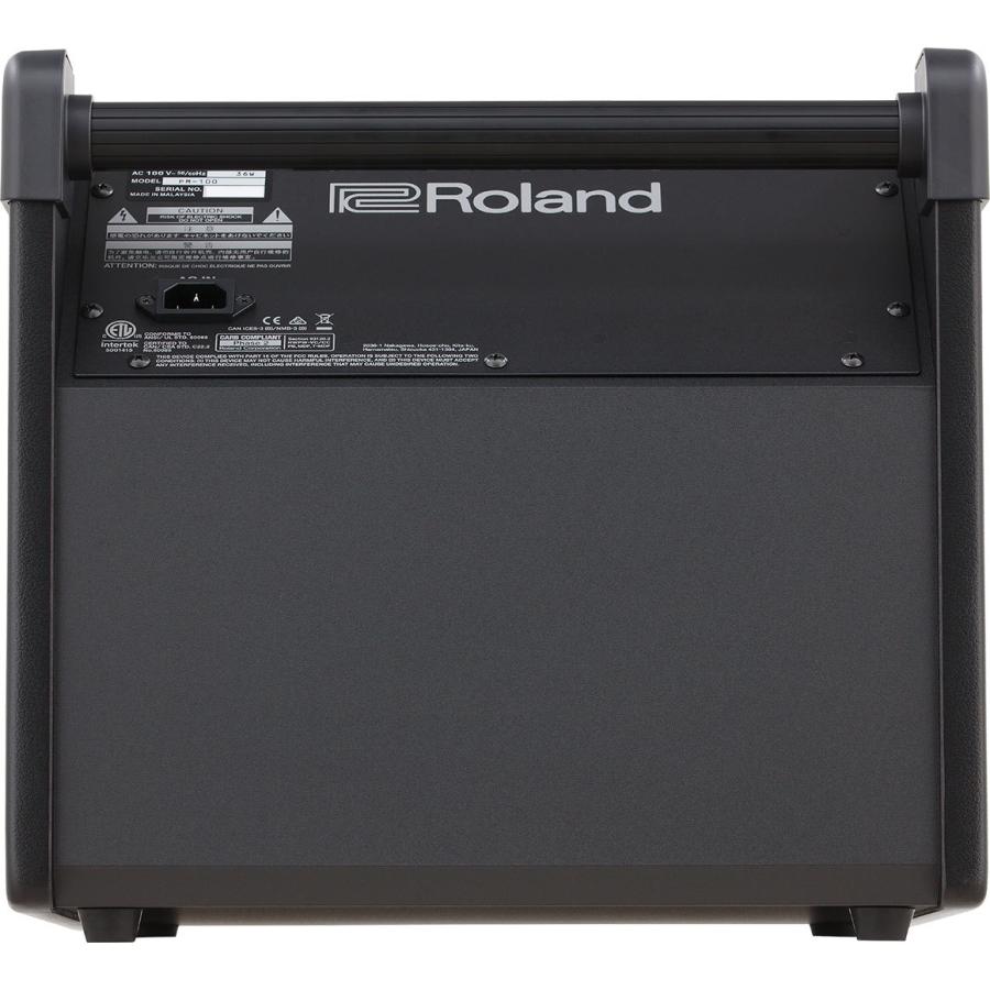 ROLAND ( ローランド ) / PM-100の画像