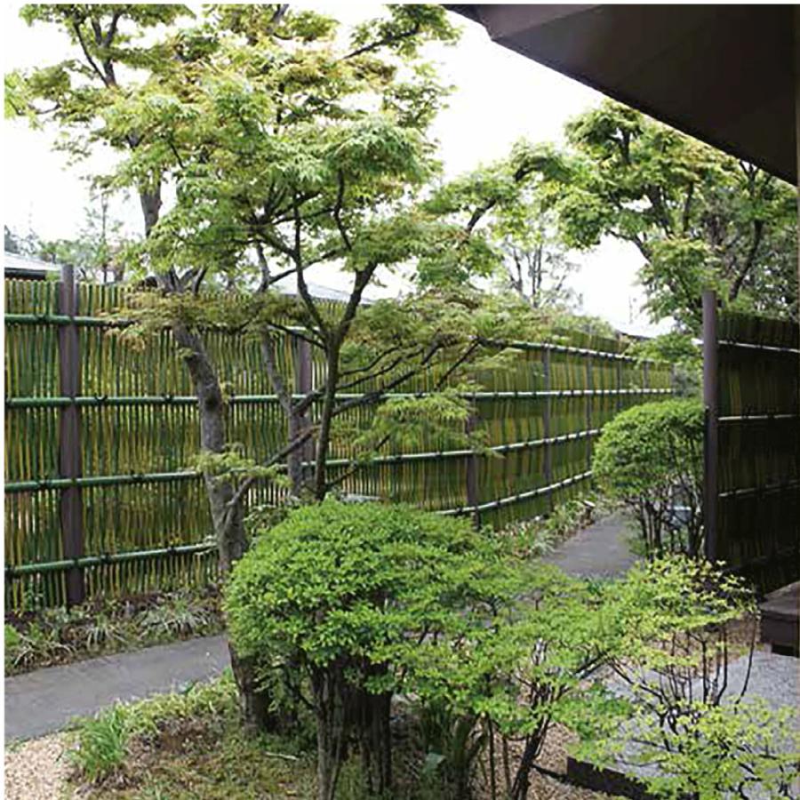 人工竹 青竹 26.4Φ×1845mm2本 合成竹 竹垣根 竹垣フェンス 樹脂 和風