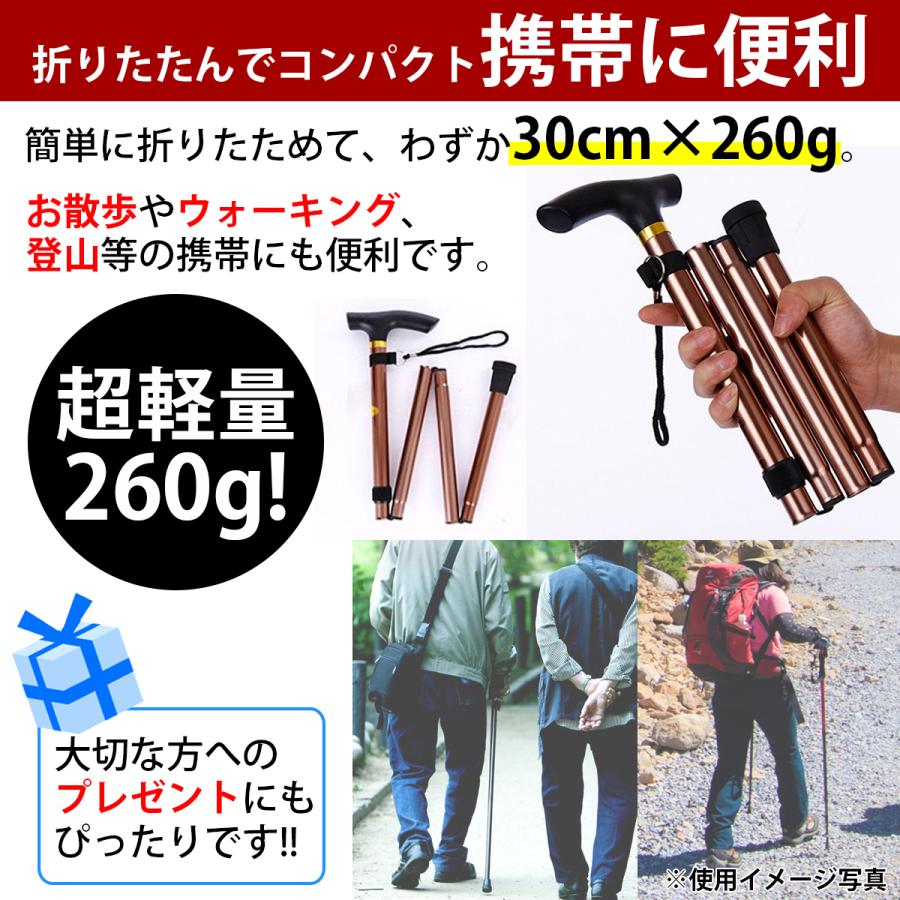 杖 介護 おしゃれ 折りたたみ ステッキ 女性 男性 軽量 コンパクト ウォーキング 山登り 散歩 :tw000019:Tailwind - 通販 -  Yahoo!ショッピング