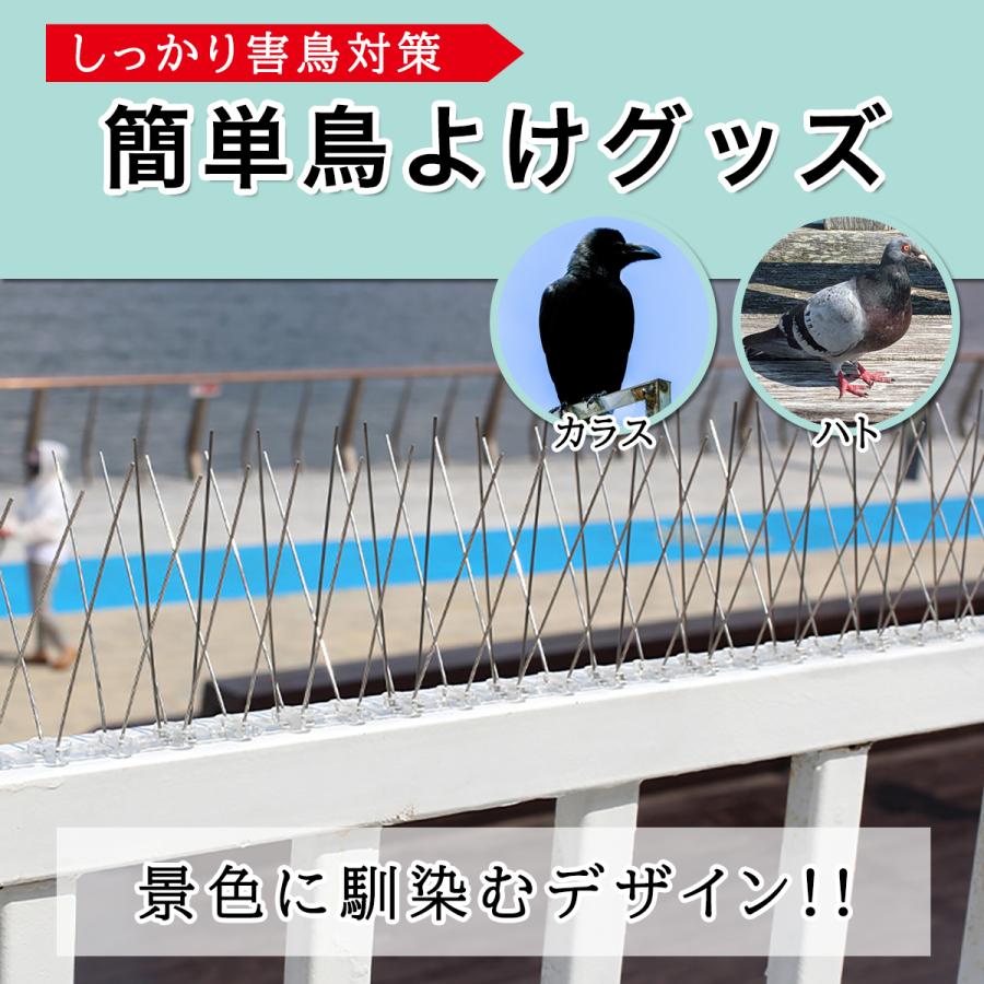 鳥よけグッズ 鳥よけ 鳩よけ カラスよけ ステンレス スパイク 防鳥