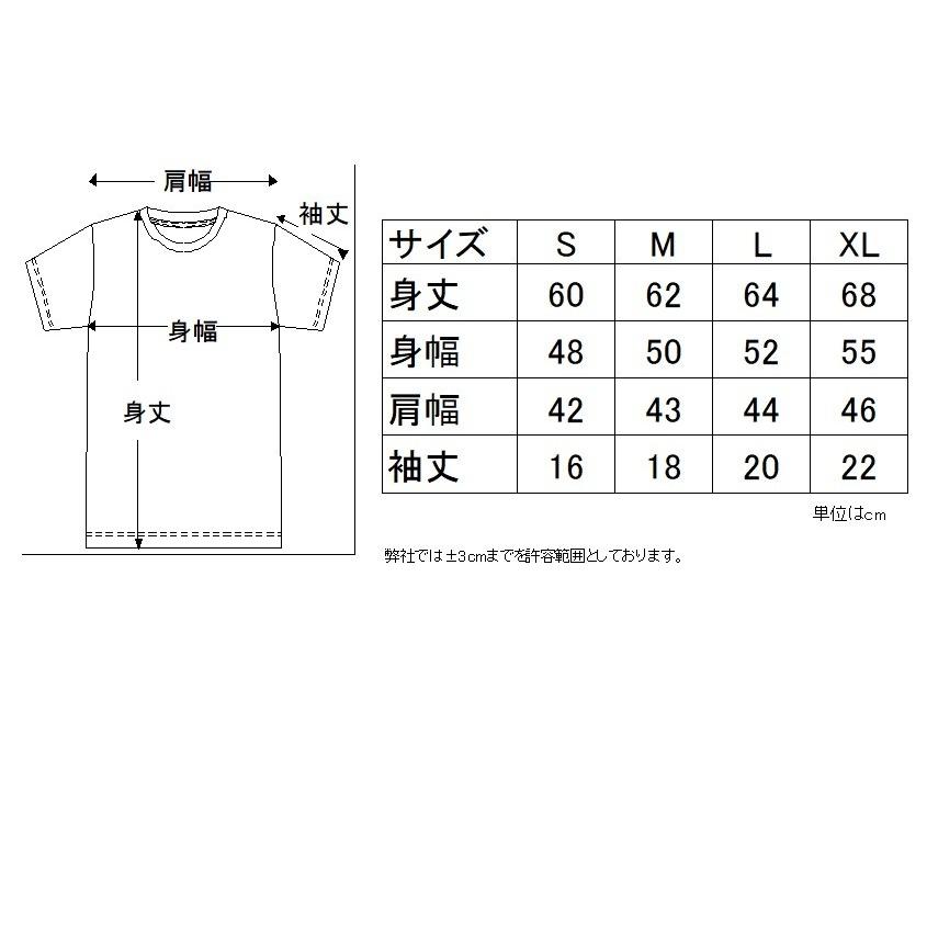 チャンピオンリバースウィーブTシャツ　C4-1388N-D｜taimu99｜05
