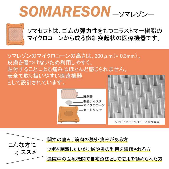 ブルー 【選べる2種類】 東洋レヂン 〈ソマセプト L ブルー