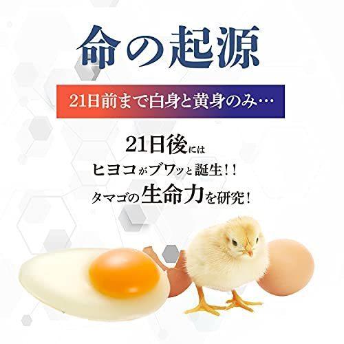 ニューモ 75ml 育毛剤 男女兼用 スカルプケア2本セット : Times ニューモ 75ml 育毛剤 男女兼用 スカルプケア2本セット : Times