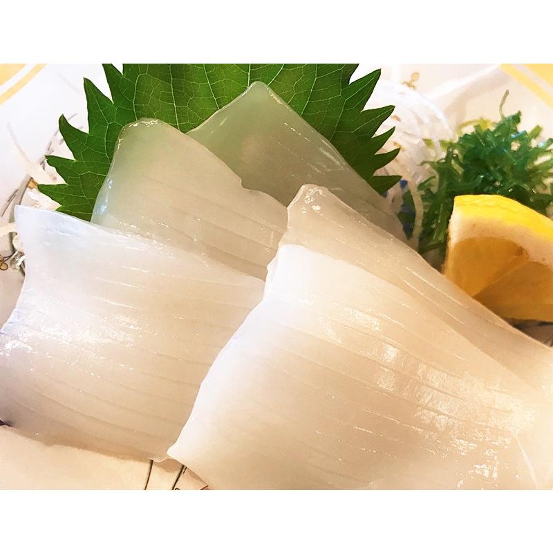 超人気高品質 イカ 紋甲 いか 寿司 刺身 新鮮 口の中に広がる 甘味 旨味 鮮度抜群 実店舗 たいの鯛 播磨 Wantannas Go Id