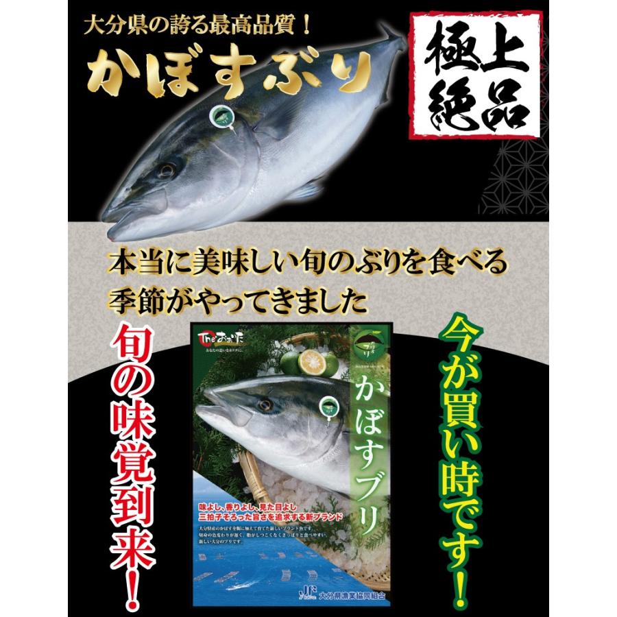 ぶり 生食用 ぶりフィレ 片身 1枚 1 5kg前後 ブリ 鰤 刺身 寿司 冷蔵 お歳暮 海鮮 着日指定は12月28日まで Burifilet 廻鮮寿したいの鯛ショップ 通販 Yahoo ショッピング