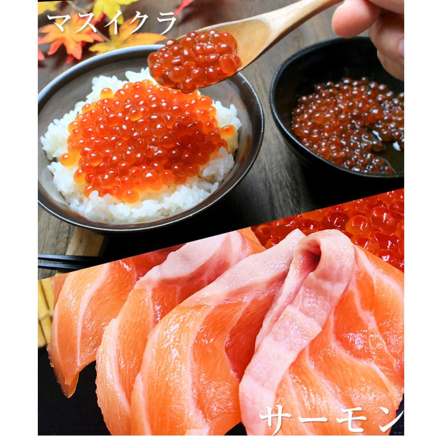 生サーモンいくらセット サーモン 12切 いくら 250g 海鮮グルメセット 2人 3人前 たいの鯛 ギフト プレゼント 刺身 海鮮丼 手巻き寿司 Salmon Ikura 廻鮮寿したいの鯛ショップ 通販 Yahoo ショッピング