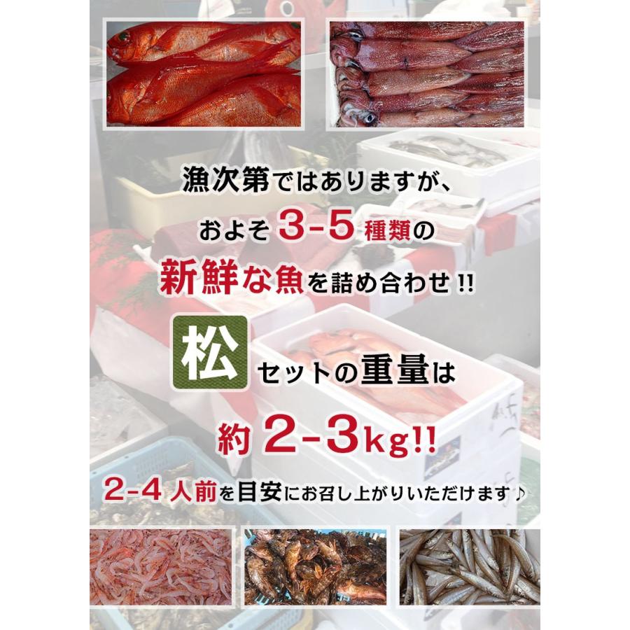 朝獲れ鮮魚お試しセット 2-4人前 とれたて新鮮魚介 魚の詰め合わせ 下処理可能 産地直送 海鮮 セット【北海道・沖縄・離島へ出荷不可】｜taino-tai｜06