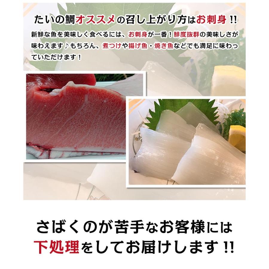 朝獲れ鮮魚お試しセット 2 4人前 とれたて新鮮魚介 魚の詰め合わせ 下処理可能 産地直送 海鮮 セット 北海道 沖縄 離島へ出荷不可 Sengyo1 廻鮮寿したいの鯛ショップ 通販 Yahoo ショッピング